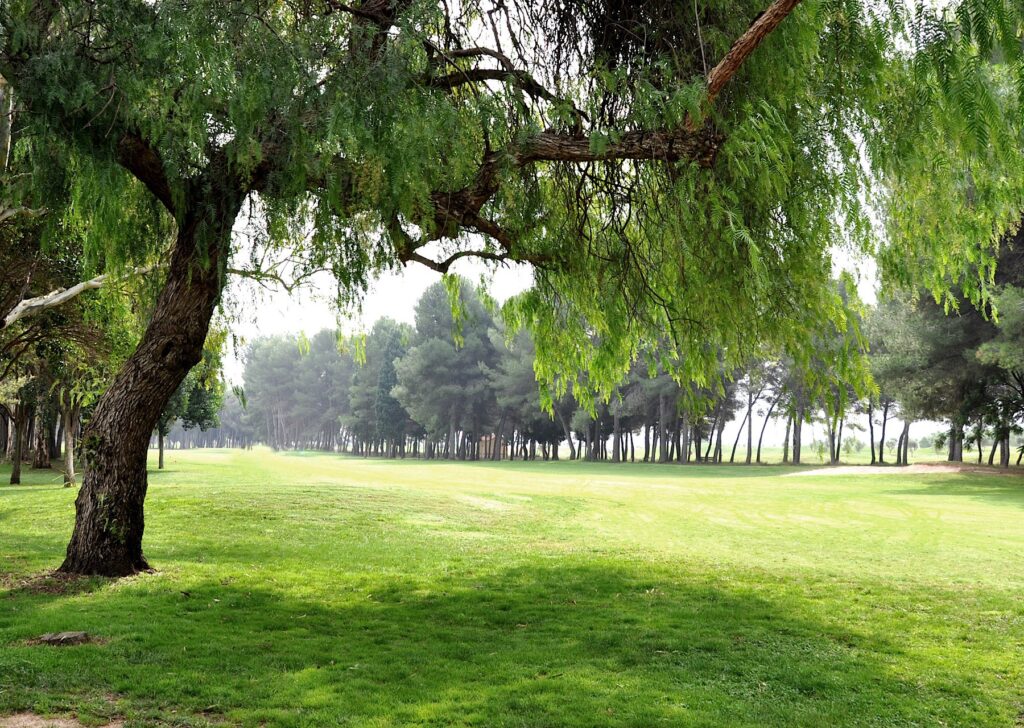 Real Club de Golf de Manises